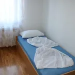 Duda * Пула